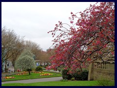 St Johns Gardens 08